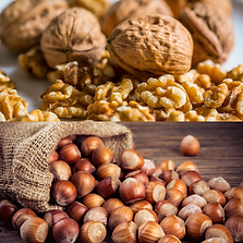 Collage von verschiedenen Nusssorten, darunter Haselnüsse und Walnüsse, teils in der natürlichen Umgebung auf einem rustikalen Holzuntergrund und teils im Verarbeitungsprozess, um die Frische und Qualität zu verdeutlichen.